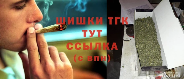 прущий лед Алзамай