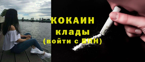 прущий лед Алзамай