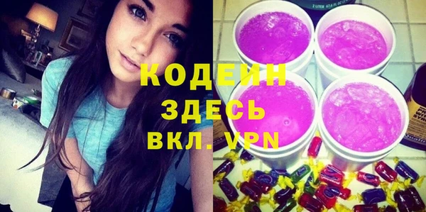 прущий лед Алзамай